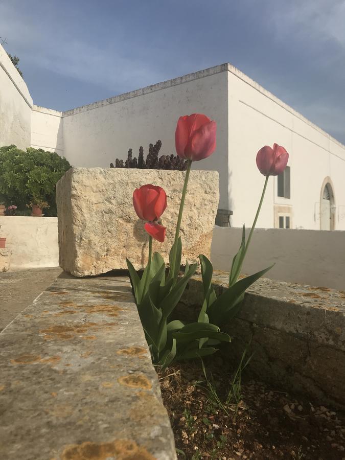 Masseria Rienzo Ostuni Zewnętrze zdjęcie