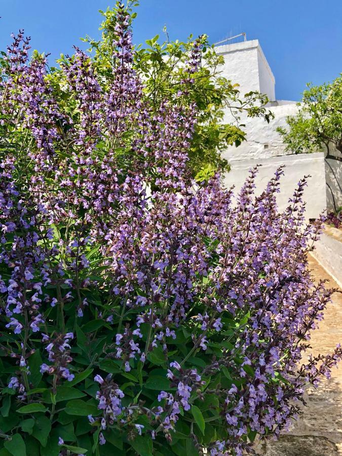 Masseria Rienzo Ostuni Zewnętrze zdjęcie
